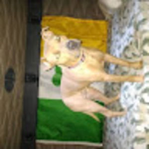 Meet your Posher, Corey